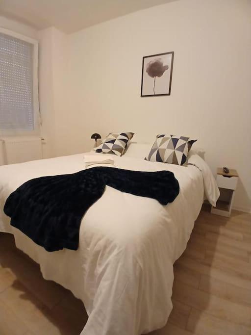 Appartement F1 Orchidee 뮐루즈 외부 사진