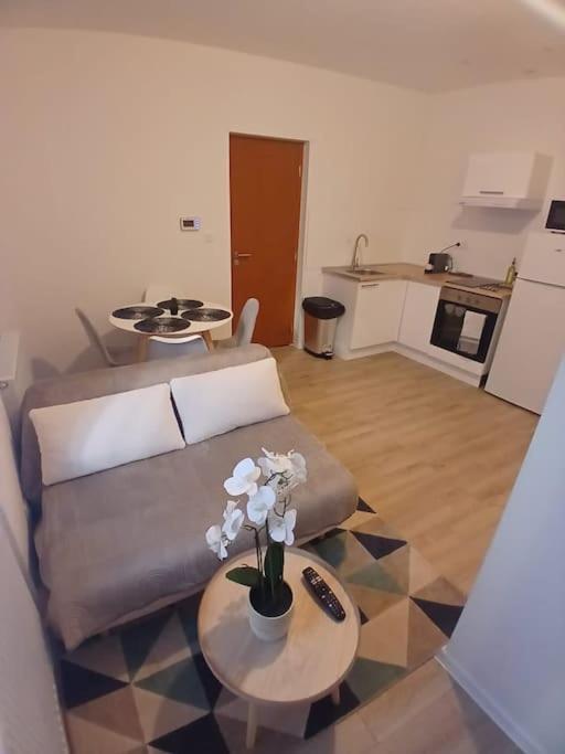 Appartement F1 Orchidee 뮐루즈 외부 사진