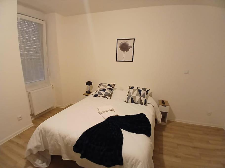Appartement F1 Orchidee 뮐루즈 외부 사진