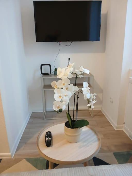 Appartement F1 Orchidee 뮐루즈 외부 사진
